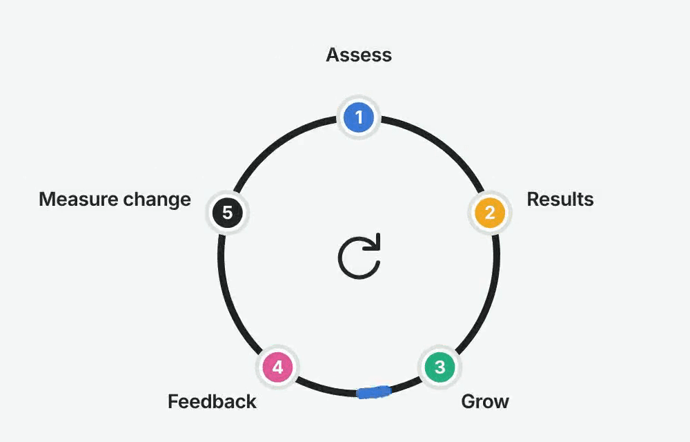 The five-step cycle: Assess, Results, Grow, Feedback, Measure change
